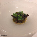 カーサ・デル・チーボ - ｱﾜﾋﾞと生木耳のｺﾝｿﾒｼﾞｭﾚがけ