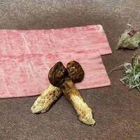 個室焼肉 銀座きたお - 本日の厳選焼き