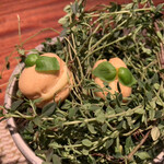 ラ・ヴァガボンド - 