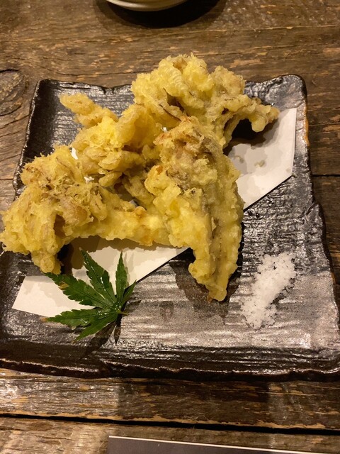 魚魯こ ウロコ 新潟 居酒屋 食べログ