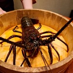 神楽坂 鉄板焼 向日葵 - 