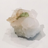 川梅 懐石・鮨 - 白海老