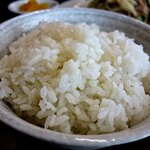 味楽 - ご飯は並盛り、文中では書かなかったけど、この店のご飯の炊き方は固めで実に宜しい。