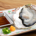 出雲日本海 - 隠岐の岩ガキ