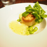 L'Octave Hayato KOBAYASHI - 