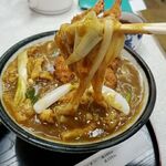 冨士本うどん - 