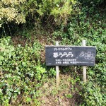 夢うらら - 