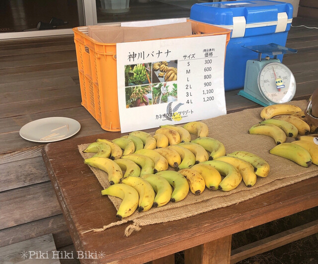 カネザワフルーツリゾート 丹荘 その他 食べログ カネザワフルーツリゾート 丹荘 その他 食べログ