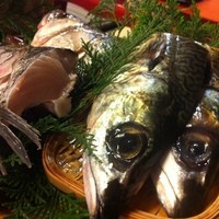 魚めし 竹亭 - 本日のお魚