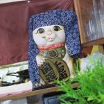 味の店　こだま食堂 - 不審なにゃり居ます