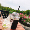 七北田公園軽食喫茶 カスヴィ カフェ - ドリンク写真:アイスコーヒーとソフトクリーム（カップ）