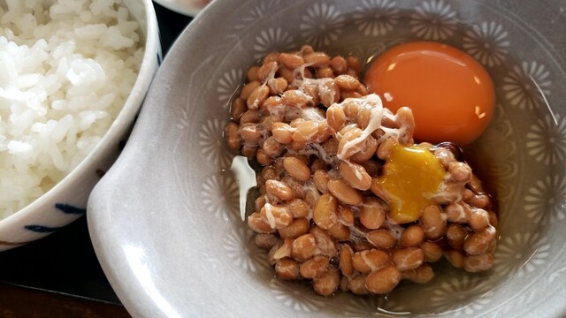 本荘ステーションホテル - 羽後本荘（ホテル）の写真