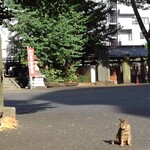 フレッシュネスバーガー 新宿御苑店 - 