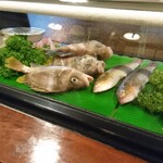 酒房 八重 - ケースの中の魚