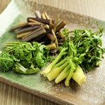 【“春”限定】山菜のおひたし＜産地直送＞