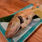 炉端 ウラハラ - 