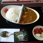 道の駅 八ッ場ふるさと館 - 八ッ場ダムカレー辛口