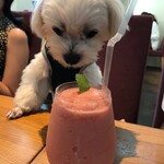 ピピン　カフェ - イチゴのスムージー