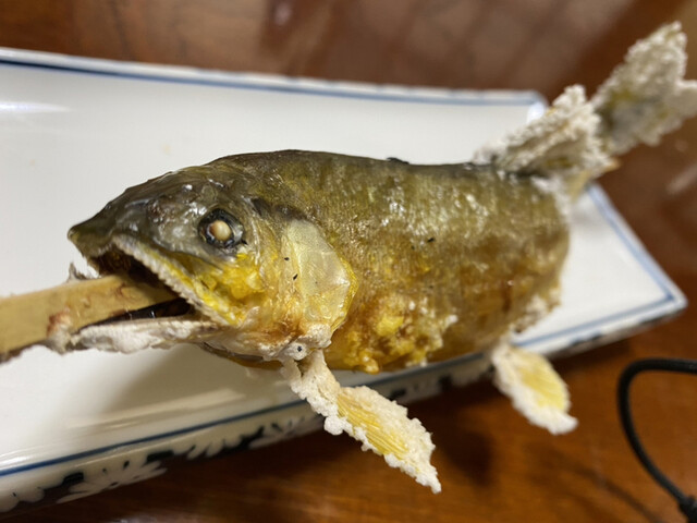 お食事処 幸楽 - 矢祭山（食堂）の写真