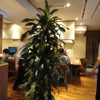 神戸牛ステーキ Ishida. 本店 - 