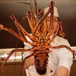 御料理 まつ山 - 鹿児島産の伊勢エビ