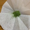 一保堂茶舗 喫茶室 嘉木 東京丸の内店