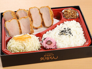 Nagoya Meibutsu Misokatsu Yabaton - ひれとんかつ弁当