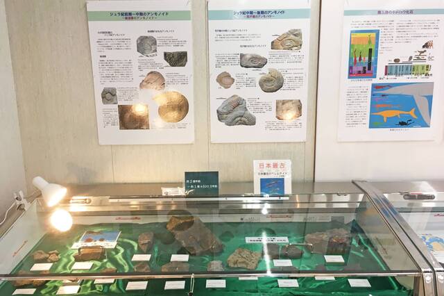 みなさん館 - 歌津（食堂）の写真