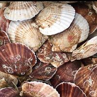 みなさん館 - 歌津（食堂）の写真