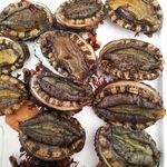 みなさん館 - アワビは季節限定です