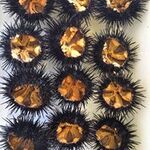 みなさん館 - ウニは養殖でなく地元産です