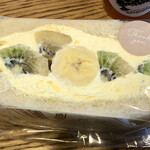 アースカラー - 