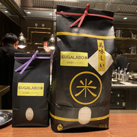 スガラボヴィー - 