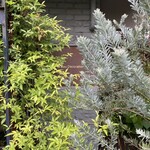 エル・バウ・デコラシオン - 生い茂るグリーンの奥にさりげないサイン(看板)が。