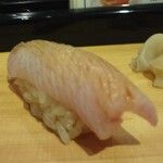 鮨屋とんぼ - 今日のネタ