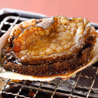 伏見で人気の居酒屋 ランキングtop 食べログ 伏見で人気の居酒屋 ランキングtop 食べログ