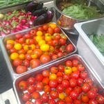 カフェアマレーナ - 自社ファームからの新鮮で安全な野菜を使ってます！