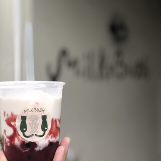 ミルクブッシュ_1