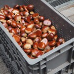 小布施堂本店 - 