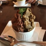 サルテリア デイジー - 