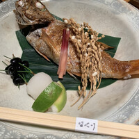 寿司 はせ川 心斎橋本店 -  寿司 はせ川 心斎橋本店 -