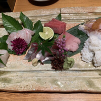 寿司 はせ川 心斎橋本店 -  寿司 はせ川 心斎橋本店 -