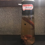 富ヶ谷一丁目倶楽部 - 