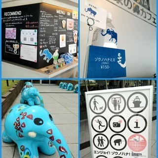 象の鼻カフェ_2