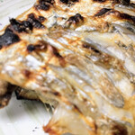 有限会社桝屋酒店   - 太刀魚