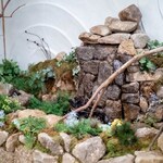 鮨 青海 銀座店 - 