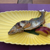 東山望 TAMANOHIKARI - 