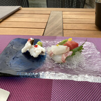 東山望 TAMANOHIKARI - 