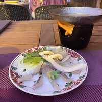 東山望 TAMANOHIKARI - 