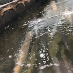 河太郎 呼子店 - 